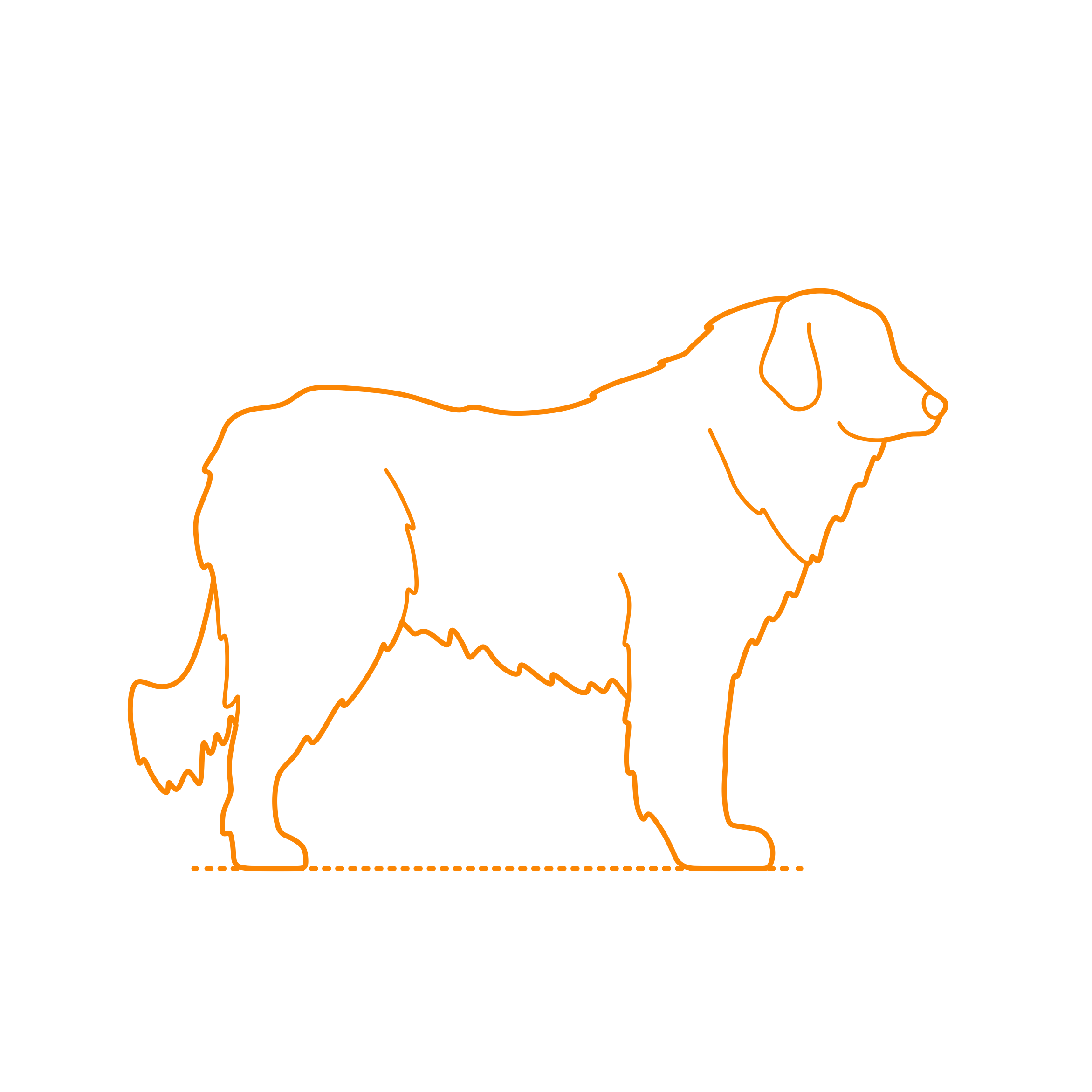 Animals Dogs Slovensky Cuvac Contour Svg Vector Free Vectors
